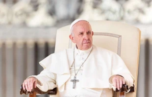 Papst Franziskus bei der Generalaudienz auf dem Petersplatz / Daniel Ibanez / CNA Deutsch