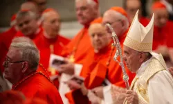 Papst Franziskus beim Konsistorium im Jahr 2019 / Daniel Ibáñez / CNA Deutsch