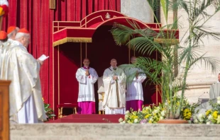 Die heilige Messe auf dem Petersplatz am 13. Oktober 2019 / Daniel Ibanez / CNA Deutsch