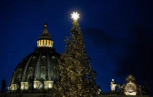Feierliche Einweihung von Christbaum und Krippe am 5. Dezember 2019  / Daniel Ibanez / CNA Deutsch
