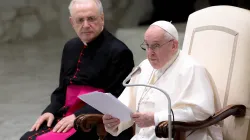 Papst Franziskus bei seiner Generalaudienz in der Aula Paul VI. im Vatikan, 27. Oktober 2021 / Daniel Ibáñez / ​CNA Deutsch 
