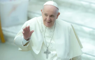 Papst Franziskus begrüßt Besucher im Vatikan am 26. Januar 2022 / Daniel Ibáñez / CNA Deutsch 