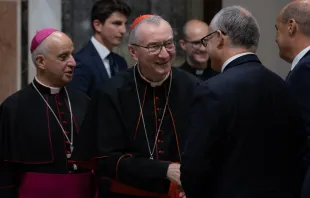 Kardinalstaatssekretär Pietro Parolin  / Daniel Ibáñez / CNA Deutsch