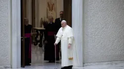 Papst Franziskus, 8. Februar 2023 / Daniel Ibáñez / CNA Deutsch