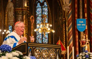 Kardinal Jean-Claude Hollerich SJ / Bistum Münster