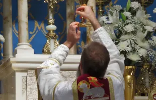 Gottesdienst in der überlieferten Form der Katholischen Kirche: Heilige Messe in der Pfarrei Mater Dei in Irving (Texas). / Mater Dei Latin Mass Parish / Flickr (CC BY-NC-ND 2.0)