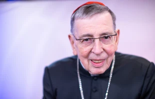 Kardinal Kurt Koch / Daniel Ibanez / CNA Deutsch