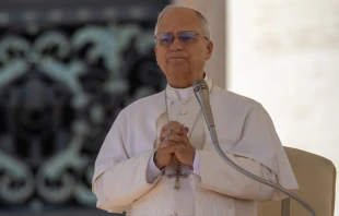 Papst Leo XIV. / Daniel Ibáñez / EWTN News