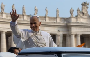 Papst Leo XIV. / Daniel Ibáñez / EWTN News