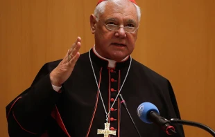 "Erneuerung gibt es nur durch Jesus Christus": Kardinal Gerhard Ludwig Müller beim Symposium der Ratzinger-Schülerkreise am 28. September 2019 in Rom.  / Evandro Inetti / CNA Deutsch 