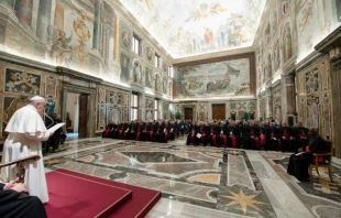 Ansprache des Papstes in der Sala Clementina am 31. Oktober 2019 / Vatican Media / CNA Deutsch