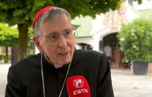 Kardinal Kurt Koch im Interview mit EWTN News. / EWTN News