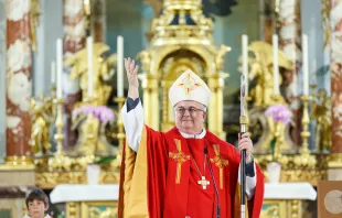 Weihbischof Denis Theurillat wurde am 21. September 1950 in Epauvillers im Kanton Jura geboren und 1976 zum Priester geweiht. Seit 2000 ist er Weihbischof von Basel.  / Bistum Basel 