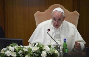 Papst Franziskus  / Vatican Media