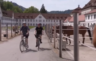 Der Marstall des Klosters Einsiedeln / Screenshot von YouTube