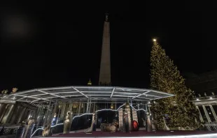 Krippe und Christbaum auf dem Petersplatz bei der feierlichen Beleuchtung am 11. Dezember 2020.  / Daniel Ibanez / CNA Deutsch 