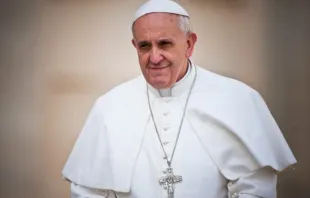 Papst Franziskus bei der Generalaudienz im Vatikan am 17. April 2013. / Mazur/catholicnews.org.uk.
