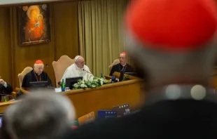 Papst Franziskus spricht in der Synodenhalle am 7. Oktober  2019. /  Daniel Ibanez / CNA Deutsch