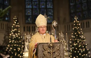 Bischof Rudolf Voderholzer in der Weihnachtspredigt 2020 im Regensburger Dom / Armin Hofbauer/Bischöfliche Pressestelle