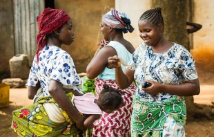 Referenzbild / Anton Ivanov / Shutterstock