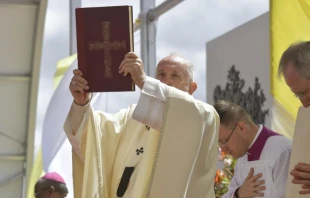 Papst Franziskus bei der Feier der heiligen Messe am 8. September in Antananarivo / Vatican Media