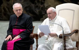 Papst Franziskus spricht in der Audienz-Halle im Vatikan am 3. November 2021 / Daniel Ibáñez / CNA Deutsch 