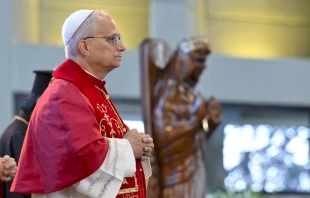 Papst Leo XIV. / Vatican Media