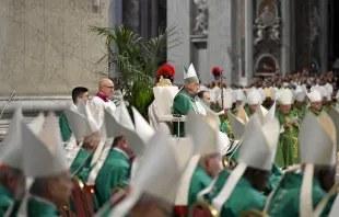 Papst Franzisus bei der Abschlussmesse der Weltsynode am 27. Oktober 2024 / Vatican Media