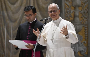 Papst Leo XIV. / Vatican Media