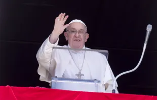 Papst Franziskus, 25. August 2024 / Vatican Media