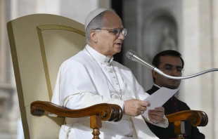 Papst Leo XIV. / Vatican Media