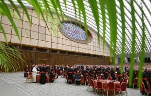 Konsistorium am 8. Januar 2026 / Vatican Media