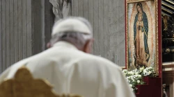 Papst Franziskus vor einem Bild der Jungfrau von Guadalupe / Vatican Media