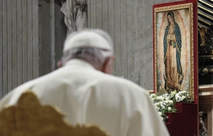 Papst Franziskus vor einem Bild der Jungfrau von Guadalupe / Vatican Media