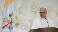 Papst Leo XIV. / Vatican Media