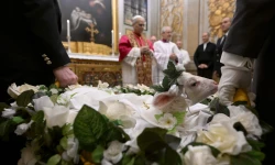 Papst Leo XIV. mit Lamm / Vatican Media