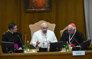 Papst Franziskus bei der Konferenz „Mann-Frau-Gottesbild. Für eine Anthropologie der Berufungen“ im Vatikan am 1. März 2024 / Vatican Media