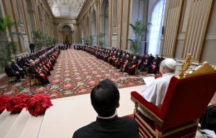 Papst Leo XIV. vor Kardinälen und Mitarbeitern der römischen Kurie / Vatican Media