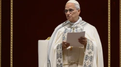 Papst Leo XIV. / Vatican Media