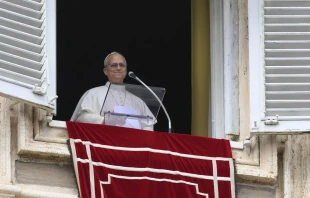 Papst Leo XIV. / Vatican Media