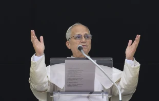 Papst Leo XIV. / Vatican Media