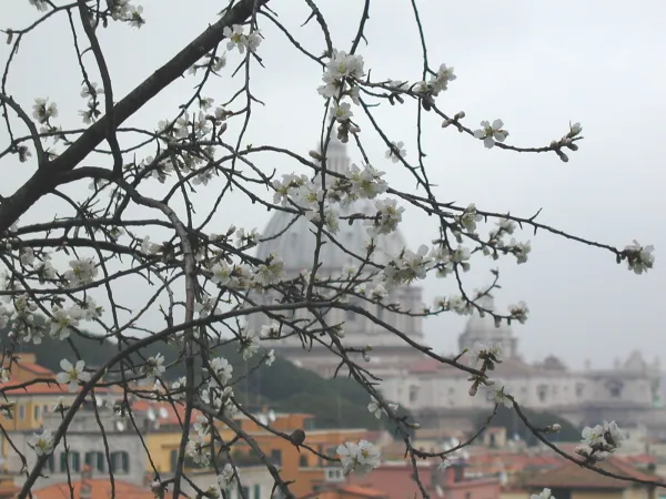 "Und am Schluss wird man den Frühling oder die Zeit der Ernte wohl nur an der Zahl der Heiligen messen können, die in unserer Zeit unter uns heranreifen."