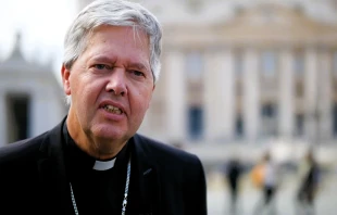 Der niederländische Weihbischof Rob Mutsaerts. / Screenshot von YouTube