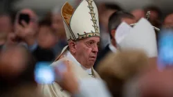 Einzug in die Lateran-Kirche: Papst Franziskus am 9. November 2019 / Daniel Ibanez / CNA Deutsch