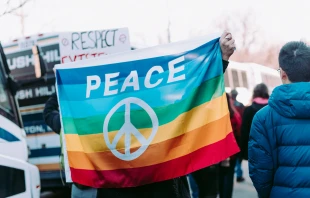 Peace-Flagge mit Peace-Zeichen / Alice Donovan Rouse / Unsplash