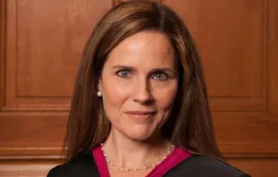 Amy Coney Barrett / Rachel Malehorn/wikimedia CC BY SA 3.0