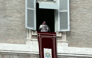 Papst Franziskus spricht beim Angelus zu den Menschen am Petersplatz am Hochfest der Taufe des Herrn, 10. Januar 2016 / CNA/Alexey Gotovskiy