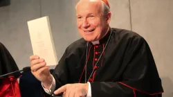 Der Wiener Erzbischof, Kardinal Christoph Schönborn, bei der Vorstellung des Schreibens. / CNA/Alan Holdren