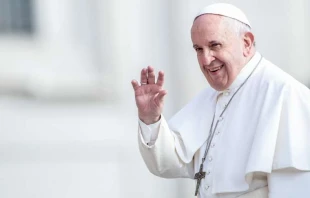 Papst Franziskus bei der Generalaudienz am 25. September 2019  / Daniel Ibanez / CNA Deutsch 