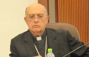 Kardinal Pedro Barreto Jimeno SJ  / Miguel Angel Chong / Wikimedia (CC BY 4.0)